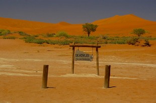 416 Namibia Okt 2006 .JPG